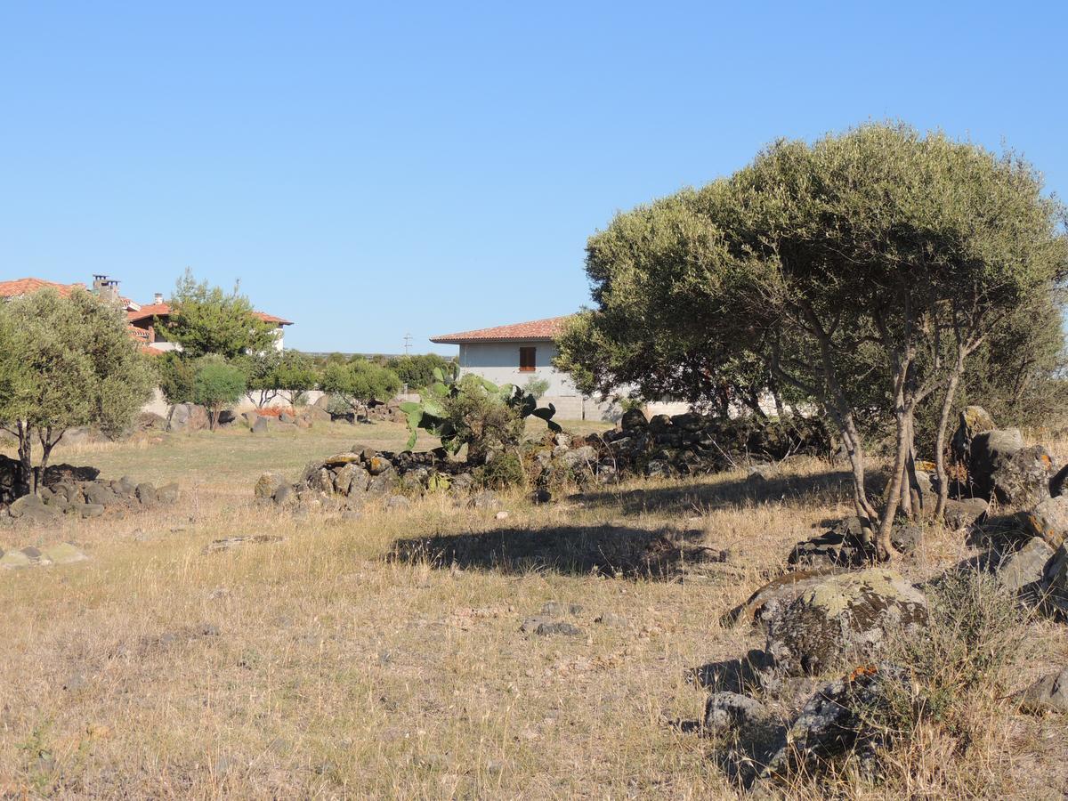 Il Nuraghe Bed & Breakfast Uras Екстериор снимка