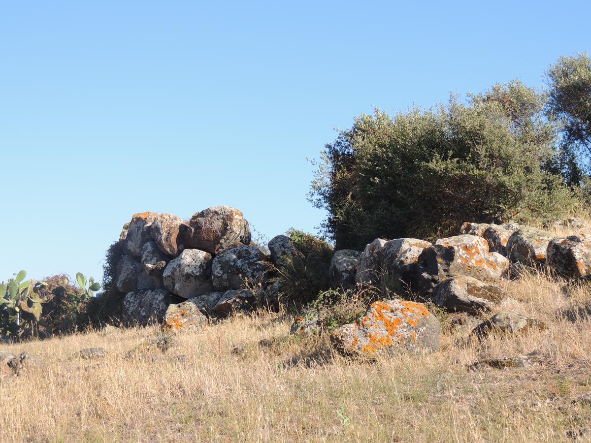 Il Nuraghe Bed & Breakfast Uras Екстериор снимка